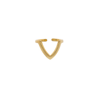 Vida Gold Ring - 